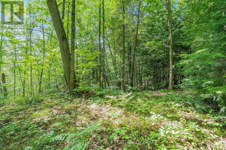 5609 LINE 4 N, Oro-Medonte, Ontario, L0K1N0