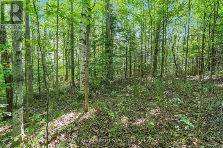 5609 LINE 4 N, Oro-Medonte, Ontario, L0K1N0