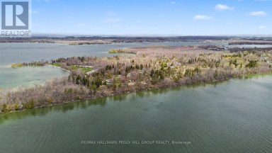 3958 PARKSIDE DRIVE Ramara Ontario photo 15