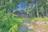 1365 DICKIE LAKE ROAD, Lake Of Bays (mclean), Ontario, P0B1A0 (ID X13673126)