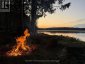 1365 DICKIE LAKE ROAD, Lake Of Bays (mclean), Ontario, P0B1A0 (ID X13673126)