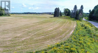 PT LT 2 JACKSON'S ROAD Magnetawan Ontario photo 12