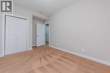 115 Savanna Parade NE Calgary Alberta photo 38