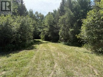 9 Poplar Dale RD Bruce Mines Ontario photo 4