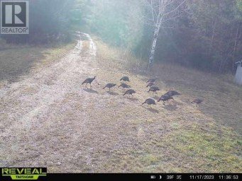 9 Poplar Dale RD Bruce Mines Ontario photo 8