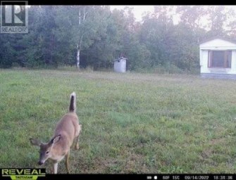 9 Poplar Dale RD Bruce Mines Ontario photo 9