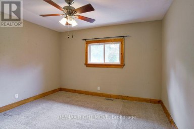 238 MARY STREET Orillia Ontario photo 17