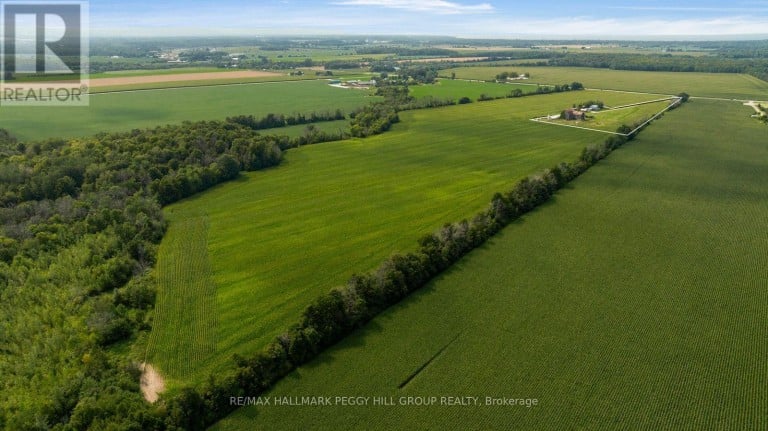 6331 26 HIGHWAY, Clearview, Ontario, L0M1S0