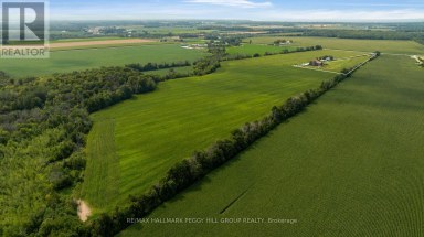 6331 26 HIGHWAY Clearview Ontario photo 21