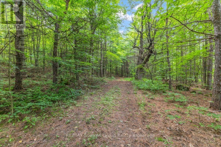 467027 12TH CONCESSION B, Grey Highlands, Ontario, N0C1E0