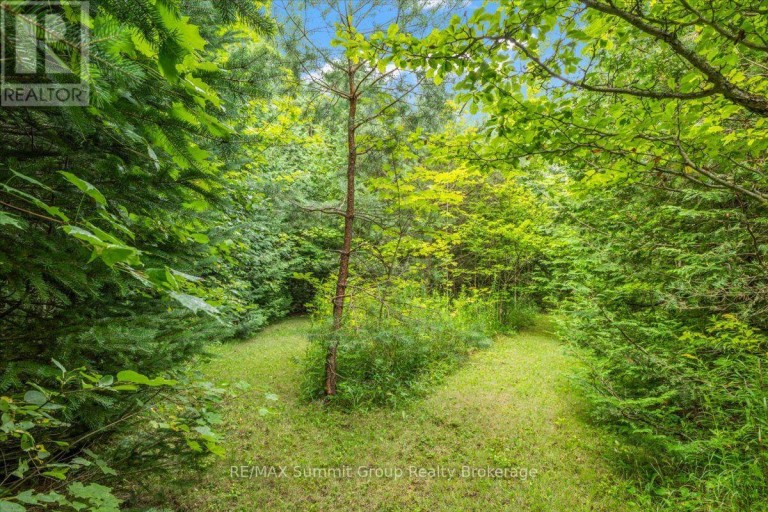 467027 12TH CONCESSION B, Grey Highlands, Ontario, N0C1E0