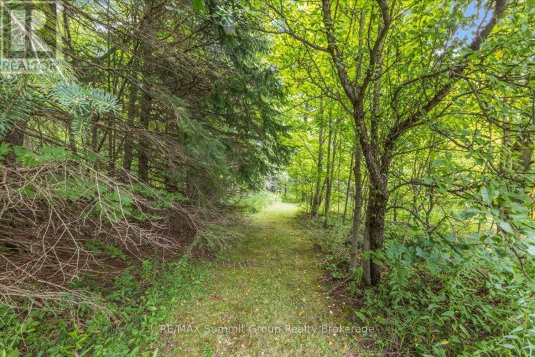 467027 12TH CONCESSION B, Grey Highlands, Ontario, N0C1E0