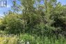 0 PURDY ROAD, Cramahe (colborne), Ontario, K0K1S0 (ID X13676626)