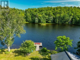 6 GINNIE STREET Parry Sound Ontario photo 41