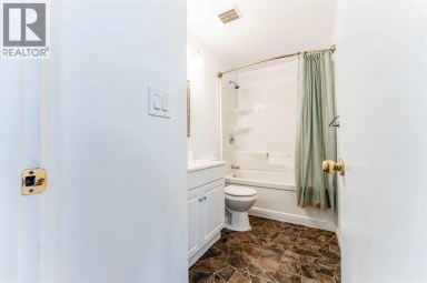2906 Doverville Crescent SE Calgary Alberta photo 15