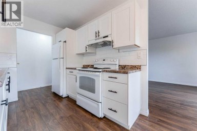 2906 Doverville Crescent SE Calgary Alberta photo 3