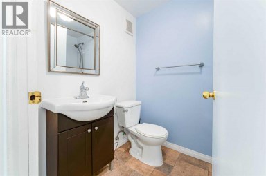 2906 Doverville Crescent SE Calgary Alberta photo 31