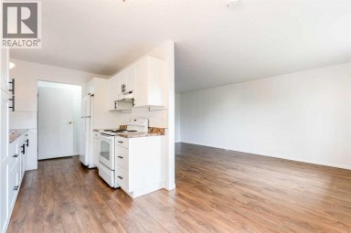 2906 Doverville Crescent SE Calgary Alberta photo 4