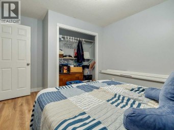 532 Margaret Sutherland Crescent N Lethbridge Alberta photo 33