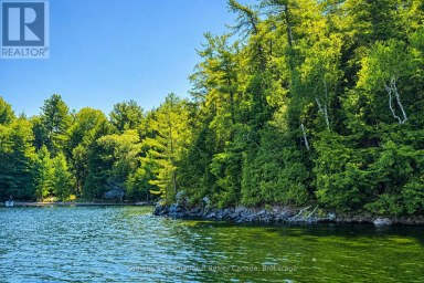 183 MCLAREN (B704) ISLAND The Archipelago (Archipelago) Ontario photo 1