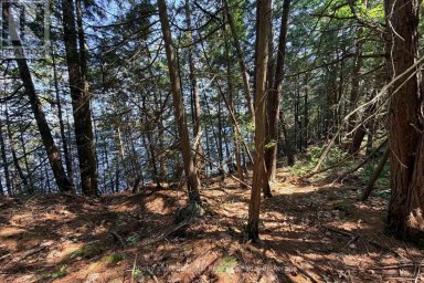 183 MCLAREN (B704) ISLAND The Archipelago (Archipelago) Ontario photo 4