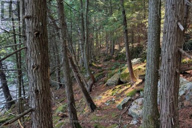 183 MCLAREN (B704) ISLAND The Archipelago (Archipelago) Ontario photo 5