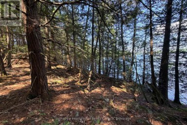 183 MCLAREN (B704) ISLAND The Archipelago (Archipelago) Ontario photo 6