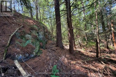 183 MCLAREN (B704) ISLAND The Archipelago (Archipelago) Ontario photo 8