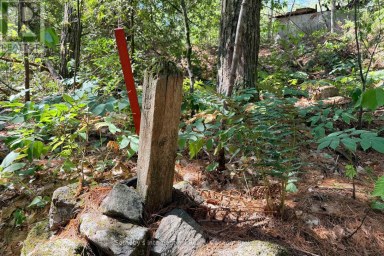 183 MCLAREN (B704) ISLAND The Archipelago (Archipelago) Ontario photo 9