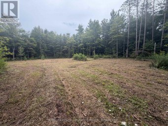 PT LOT 4, CON 6 6TH LINE Blue Mountains Ontario photo 2