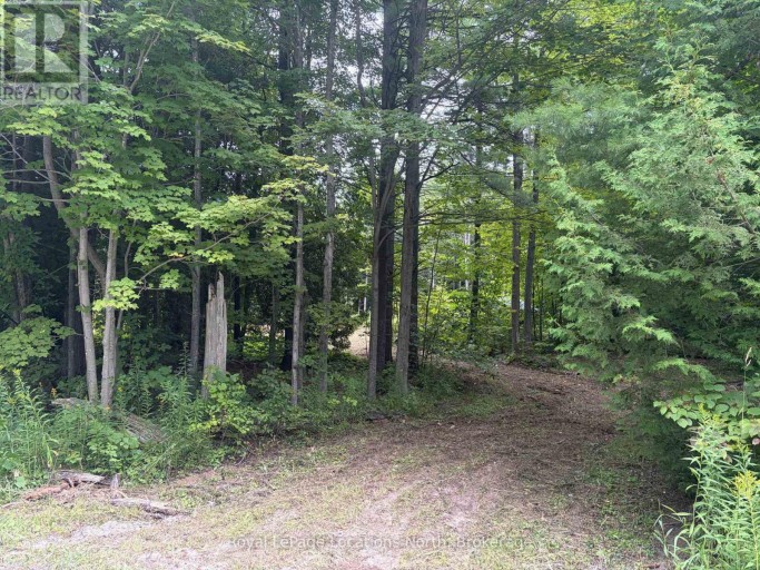 PT LOT 4, CON 6 6TH LINE, Blue Mountains, Ontario, N0H2E0