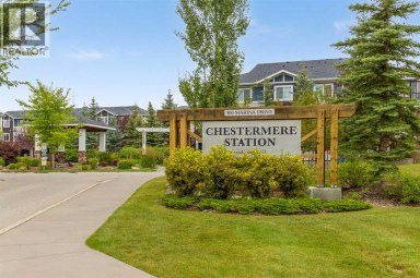 56, 300 MARINA Drive Chestermere Alberta photo 48