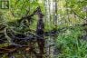 688 PRINCE ROAD E, Madawaska Valley, Ontario, K0J2N0 (ID X13680520)