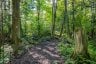 688 PRINCE ROAD E, Madawaska Valley, Ontario, K0J2N0 (ID X13680520)