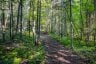 688 PRINCE ROAD E, Madawaska Valley, Ontario, K0J2N0 (ID X13680520)