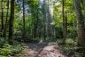 688 PRINCE ROAD E, Madawaska Valley, Ontario, K0J2N0 (ID X13680520)