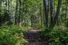 688 PRINCE ROAD E, Madawaska Valley, Ontario, K0J2N0 (ID X13680520)