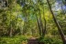 688 PRINCE ROAD E, Madawaska Valley, Ontario, K0J2N0 (ID X13680520)