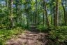 688 PRINCE ROAD E, Madawaska Valley, Ontario, K0J2N0 (ID X13680520)