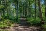 688 PRINCE ROAD E, Madawaska Valley, Ontario, K0J2N0 (ID X13680520)