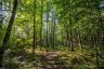 688 PRINCE ROAD E, Madawaska Valley, Ontario, K0J2N0 (ID X13680520)