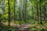688 PRINCE ROAD E, Madawaska Valley, Ontario, K0J2N0 (ID X13680520)