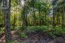 688 PRINCE ROAD E, Madawaska Valley, Ontario, K0J2N0 (ID X13680520)