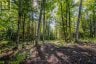 688 PRINCE ROAD E, Madawaska Valley, Ontario, K0J2N0 (ID X13680520)