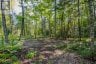 688 PRINCE ROAD E, Madawaska Valley, Ontario, K0J2N0 (ID X13680520)