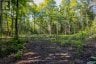 688 PRINCE ROAD E, Madawaska Valley, Ontario, K0J2N0 (ID X13680520)