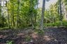 688 PRINCE ROAD E, Madawaska Valley, Ontario, K0J2N0 (ID X13680520)