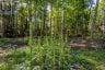 688 PRINCE ROAD E, Madawaska Valley, Ontario, K0J2N0 (ID X13680520)