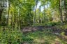 688 PRINCE ROAD E, Madawaska Valley, Ontario, K0J2N0 (ID X13680520)