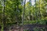 688 PRINCE ROAD E, Madawaska Valley, Ontario, K0J2N0 (ID X13680520)